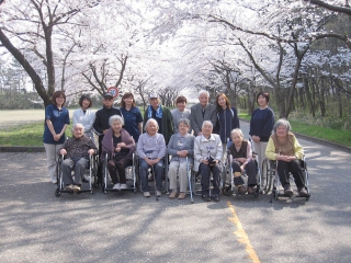 桜満開！観桜ドライブに行ってきました。